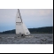Catamaran Hobie 16 Picture 1 